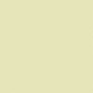 SANDERSON PAINT AFTON LT.  49
